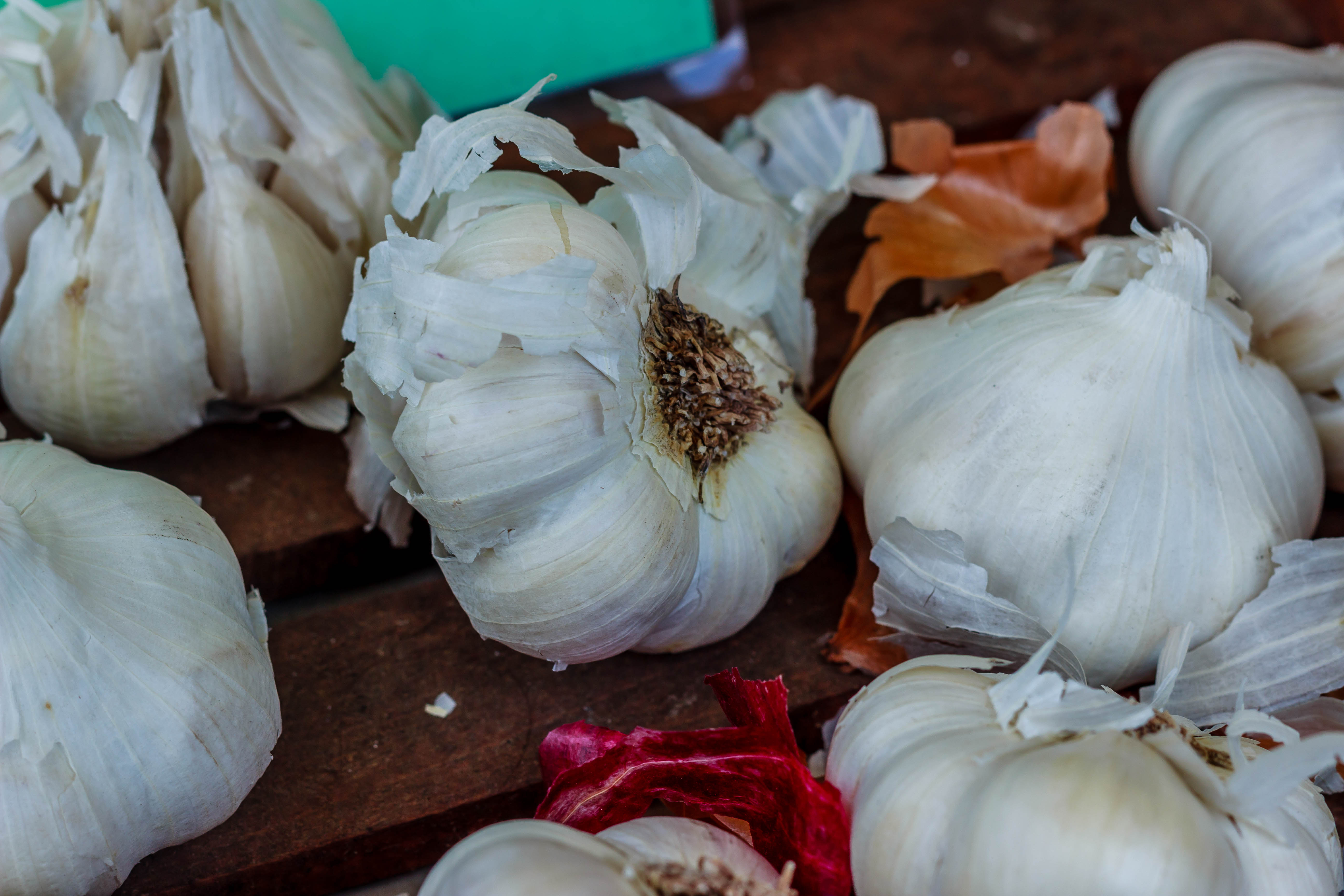 Garlic Bulb - Fresh garlic on display.  Grown right in New Jersey. by Lunara Creative Photography